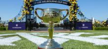 Melbourne Cup Day Preview & Betting Tips
