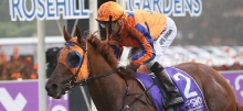 Rosehill Racing Tips Saturday August 8th