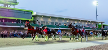 Harness Racing Tips