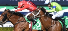 Horse Racing Tips