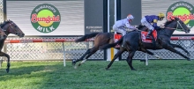 Moonee Valley Racing Tips