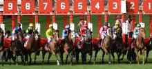 Moonee Valley Racing Tips Friday December 18th