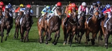 Moonee Valley Tips