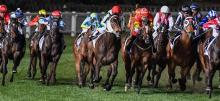 Moonee Valley Racing Tips Friday September 25th