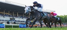 Horse Racing Tips