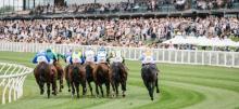 Mornington Betting Tips