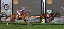 Moonee Valley Racing Tips Saturday September 5th