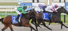 Horse Racing Tips