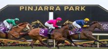 Pinjarra Racing Tips