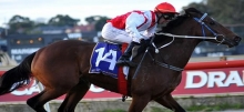 Horse Racing Tips