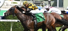 Horse Racing Tips