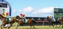Horse Racing Tips