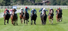 Today's Best Bets Horse Racing