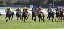 Randwick Racing Tips