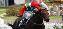 Horse Racing Tips