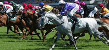 Horse Racing Tips