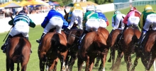 Australian Horse Racing Tips Thursday August 20th