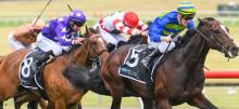 Australian Horse Racing Tips Wednesday December 9th