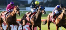Horse Racing Tips