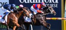 Saturday Horse Racing July 10th