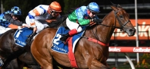 Horse Racing Tips