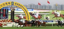 Sha Tin Racing Tips