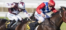 Horse Racing Tips