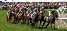 Spring Carnival Racing Tips