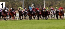 Australian Horse Racing Tips Friday September 11th