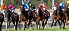 Horse Racing Tips