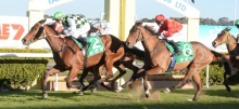 Australian Horse Racing Tips Sunday August 23rd
