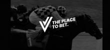 VicBet - Dedicated Horse Racing Site