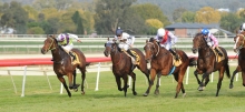 Wagga Racing Tips