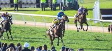 Warrnambool Racing Tips