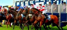 Wednesday Racing Tips