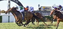 Horse Racing Tips