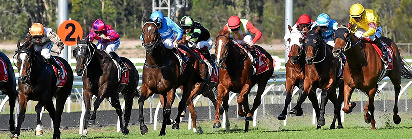Horse Racing Tips