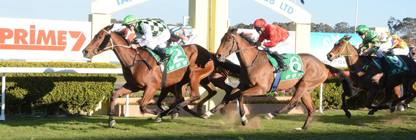 Australian Horse Racing Tips Sunday August 23rd