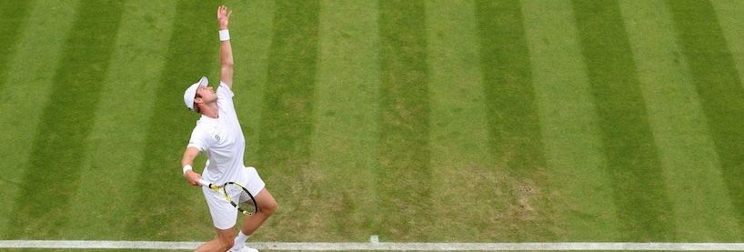 Wimbledon Betting Tips