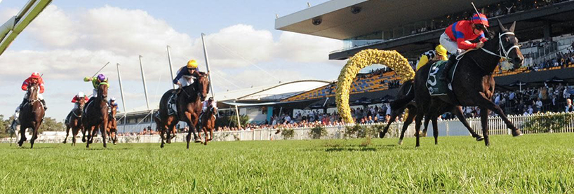 Horse Racing Tips