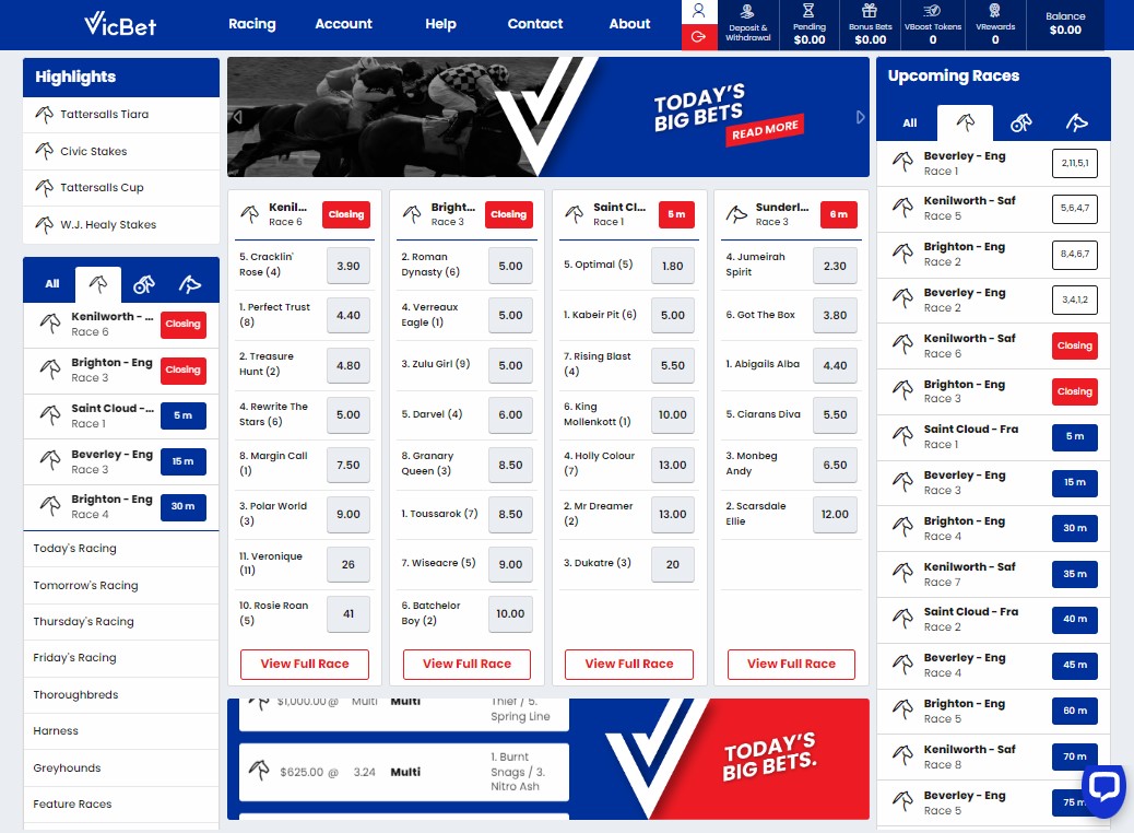 vicbet website screenshot