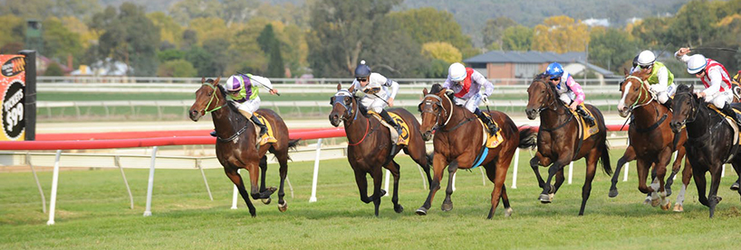 Wagga Racing Tips