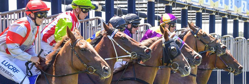 Warrnambool Racing Tips
