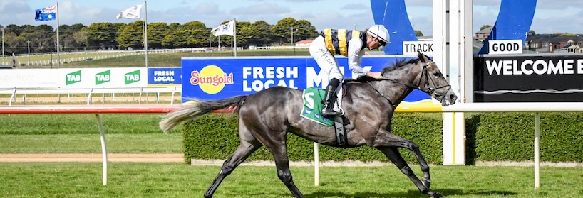 Warrnambool Racing Tips