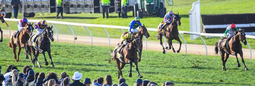 Warrnambool Racing Tips