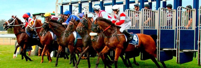 Wednesday Racing Tips