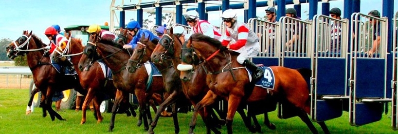 Wednesday Racing Tips