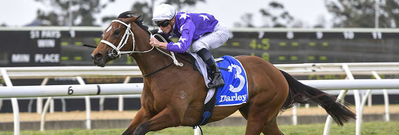 Warwick Farm Racing Tips Wednesday September 16th