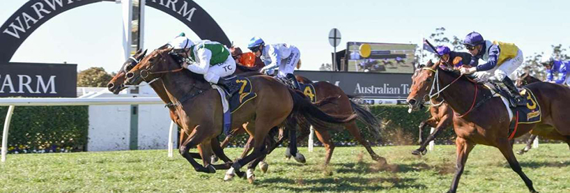Horse Racing Tips