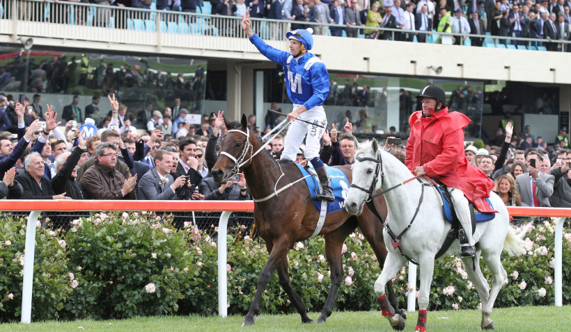 Winx Cox Plate